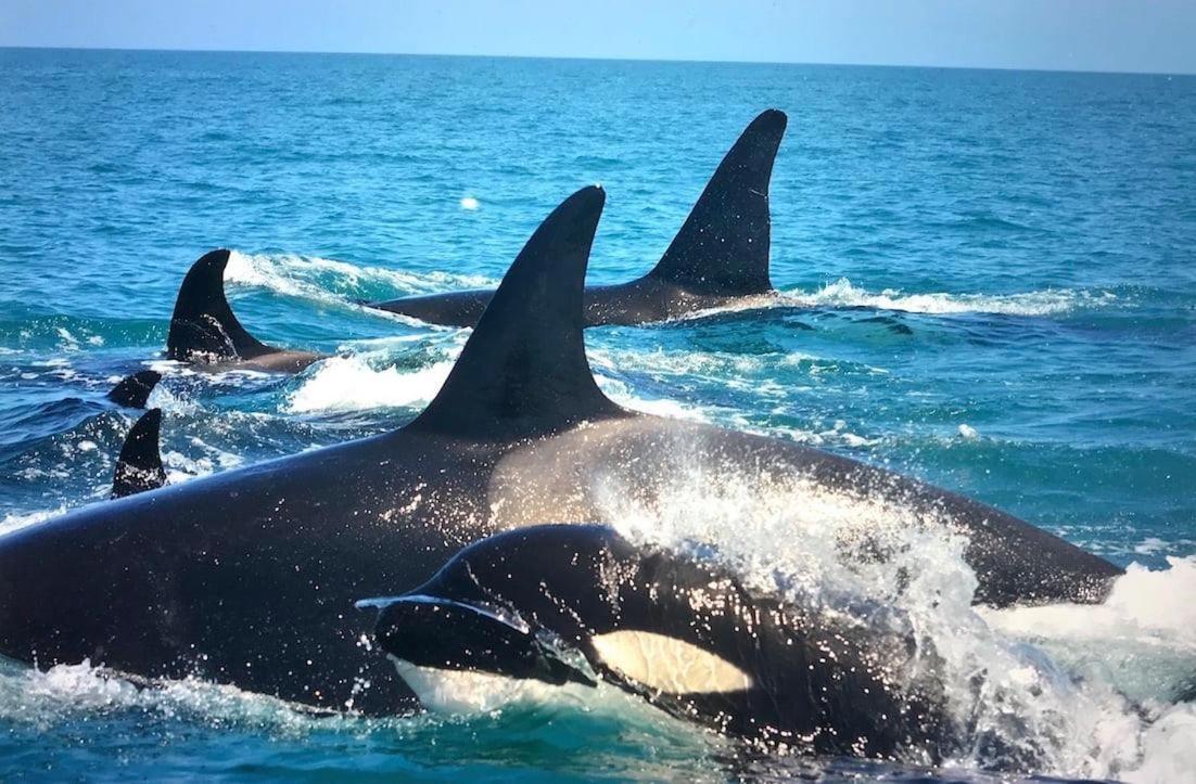 Ningaloo Lodge Exmouth Ngoại thất bức ảnh