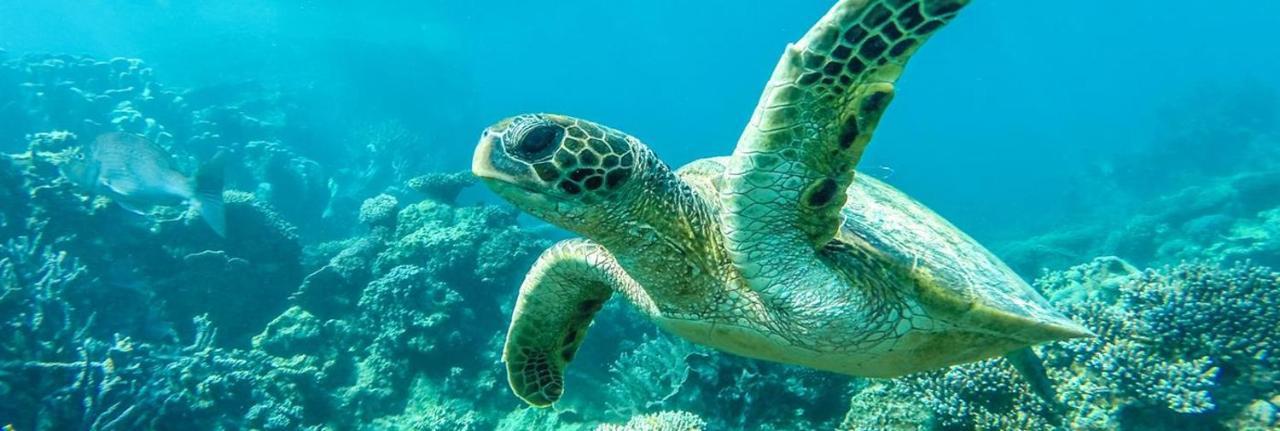Ningaloo Lodge Exmouth Ngoại thất bức ảnh