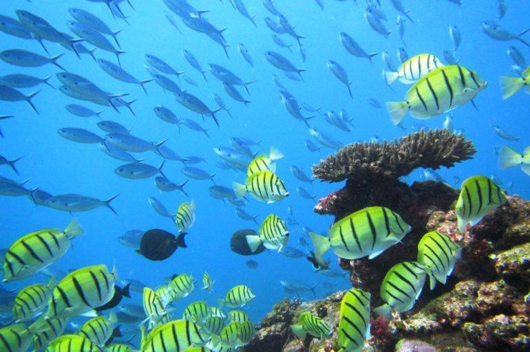 Ningaloo Lodge Exmouth Ngoại thất bức ảnh