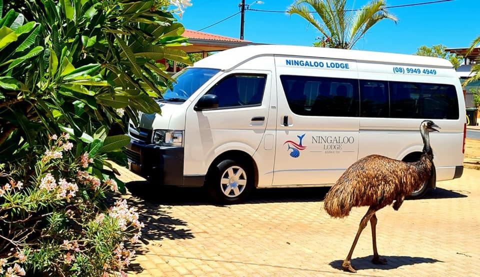 Ningaloo Lodge Exmouth Ngoại thất bức ảnh