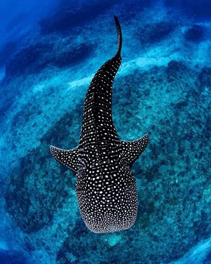 Ningaloo Lodge Exmouth Ngoại thất bức ảnh