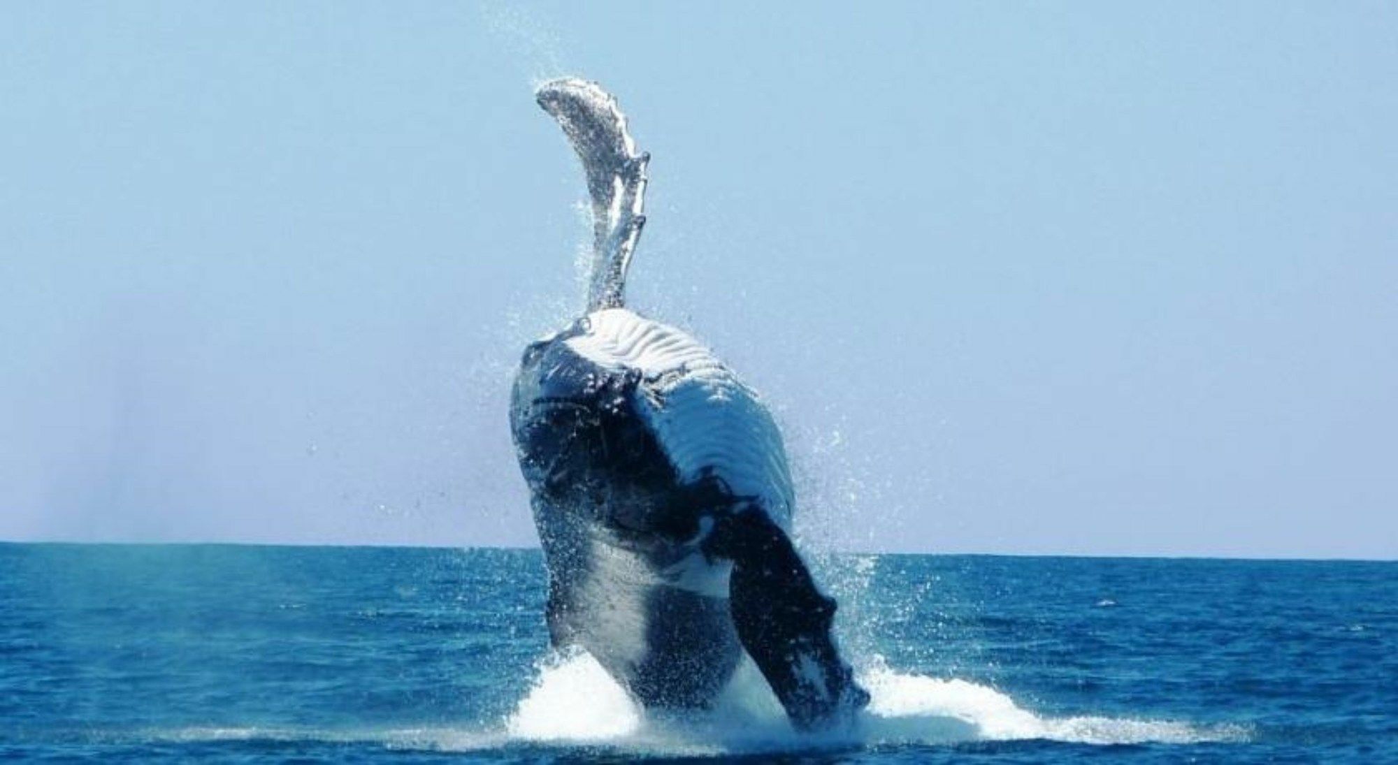 Ningaloo Lodge Exmouth Ngoại thất bức ảnh